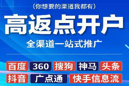 网络推广与竞价优化成功案例
